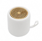 Portable Cylinder Speakers